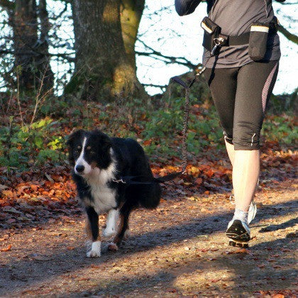 Pet traction rope running