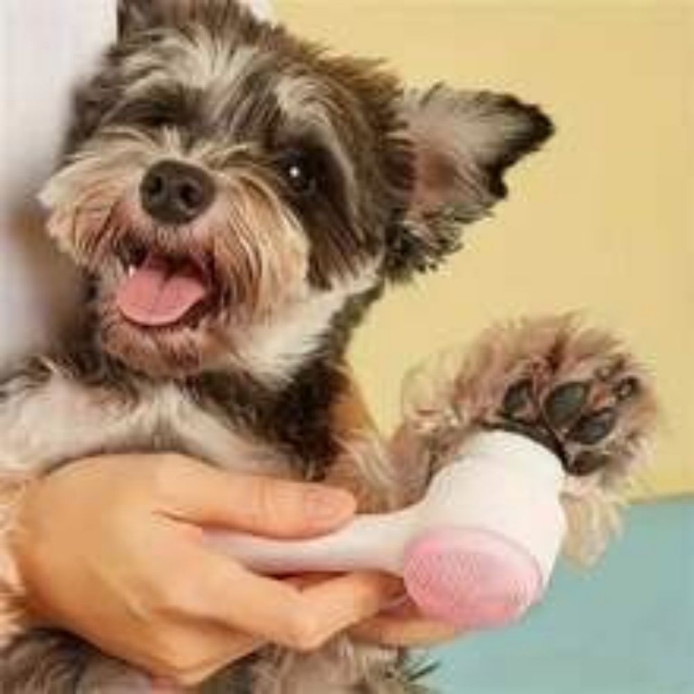 Easy Clean Nylon Pet Paw Brush Gentle Grooming And Massage Tool For Dogs And Cats Pet Grooming Supplies